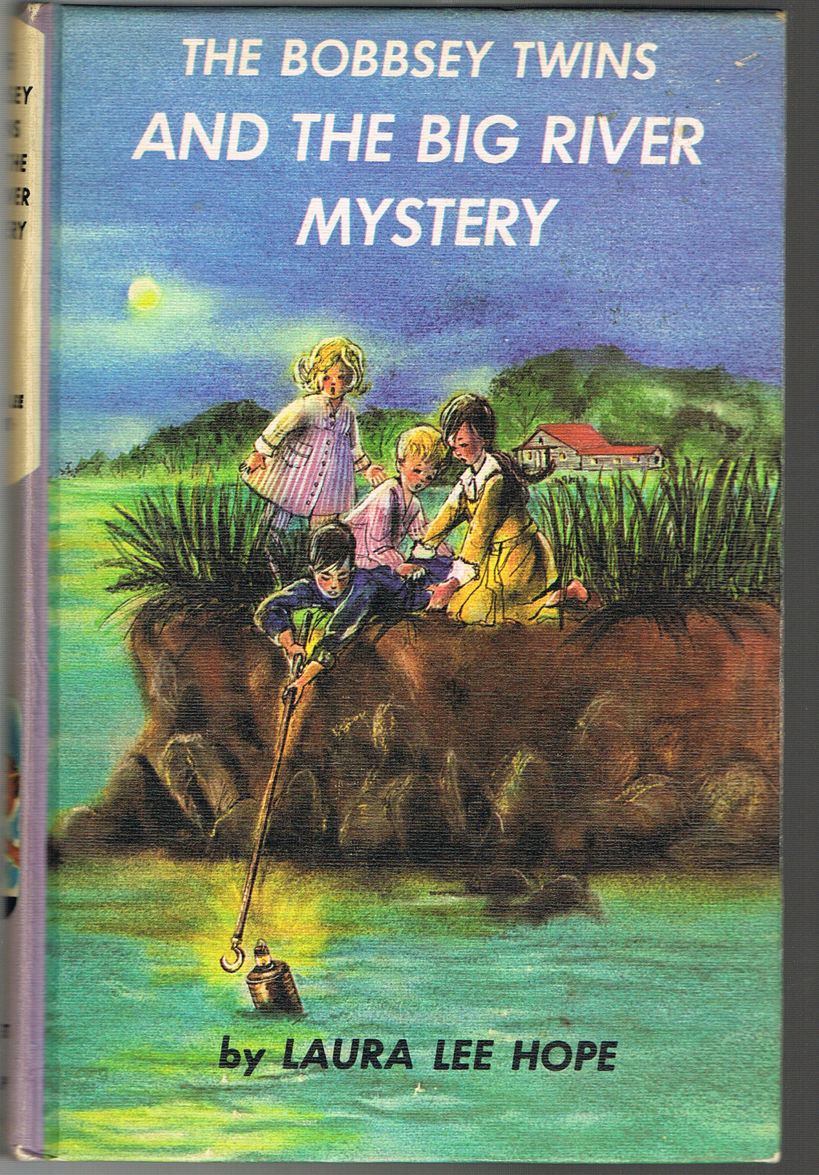 Image for The Bobbsey Twins and the Big River Mystery