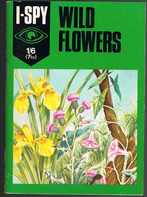 I-Spy Wild Flowers Image for I-Spy Wild Flowers