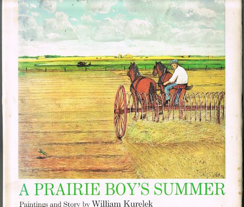 Image for A Prairie Boy's Summer