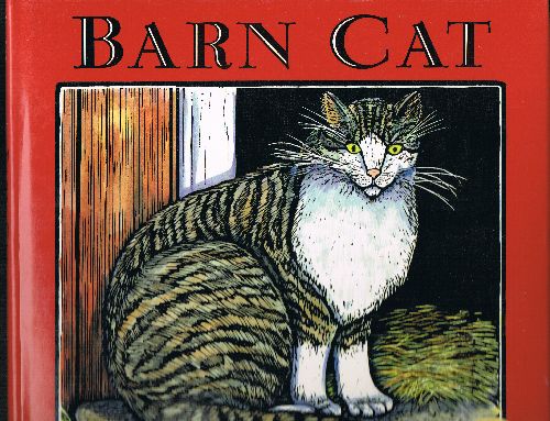 Image for Barn Cat