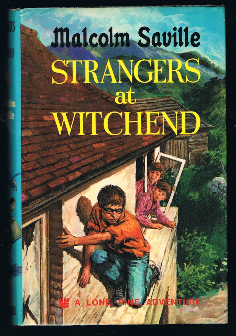 Image for Strangers at Witchend