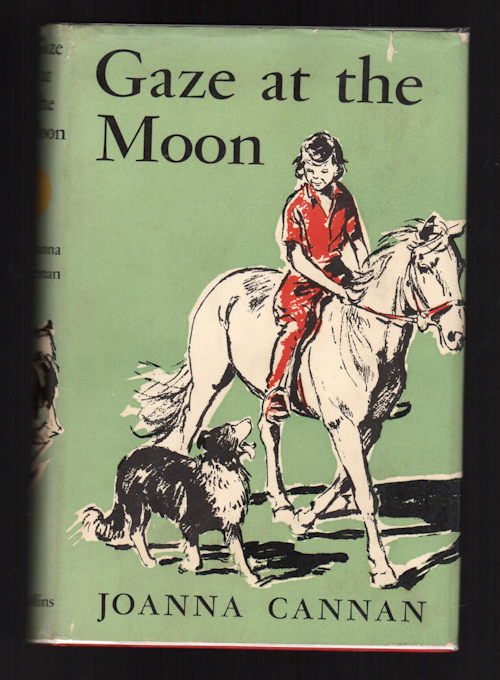 Gaze at the Moon