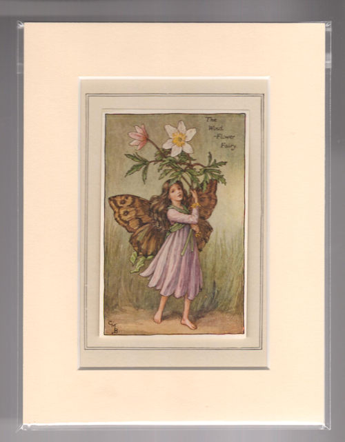 The Windflower Fairy (Mounted Print from Spring Songs with Music)