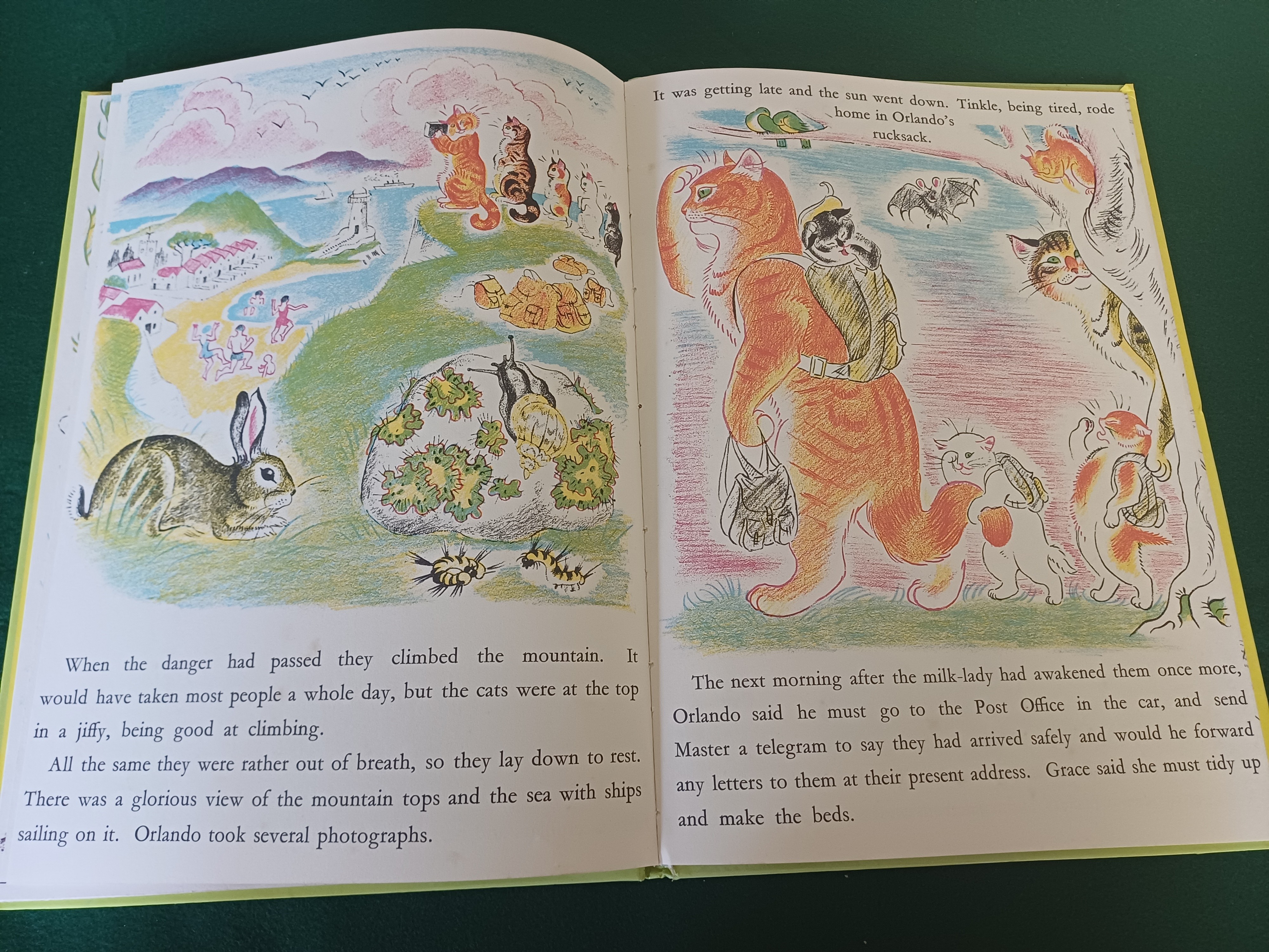 Orlando the Marmalade Cat - A Camping Holiday