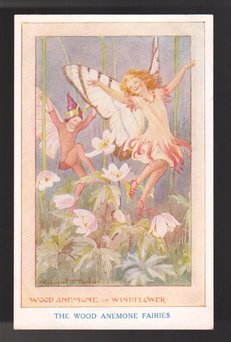The Wood Anemone Fairies Postcard