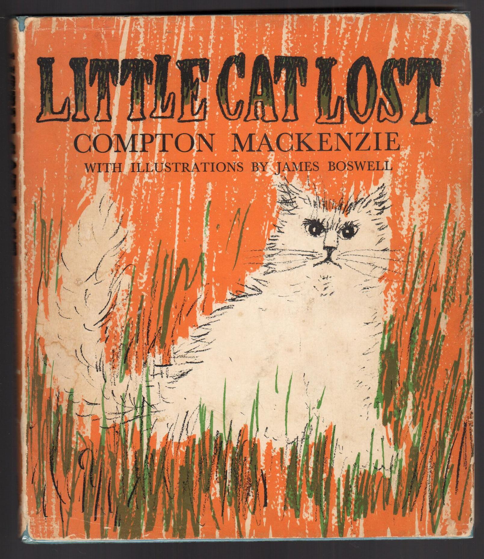 Little Cat Lost
