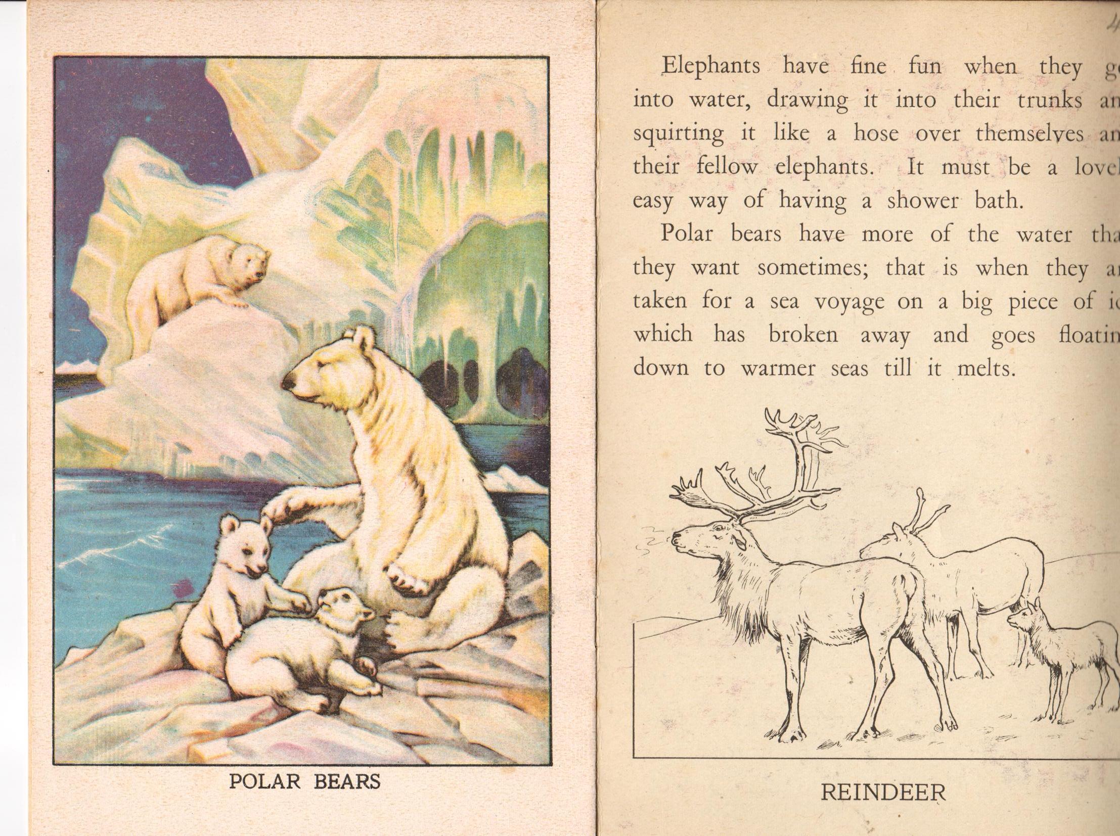 Animals at Home