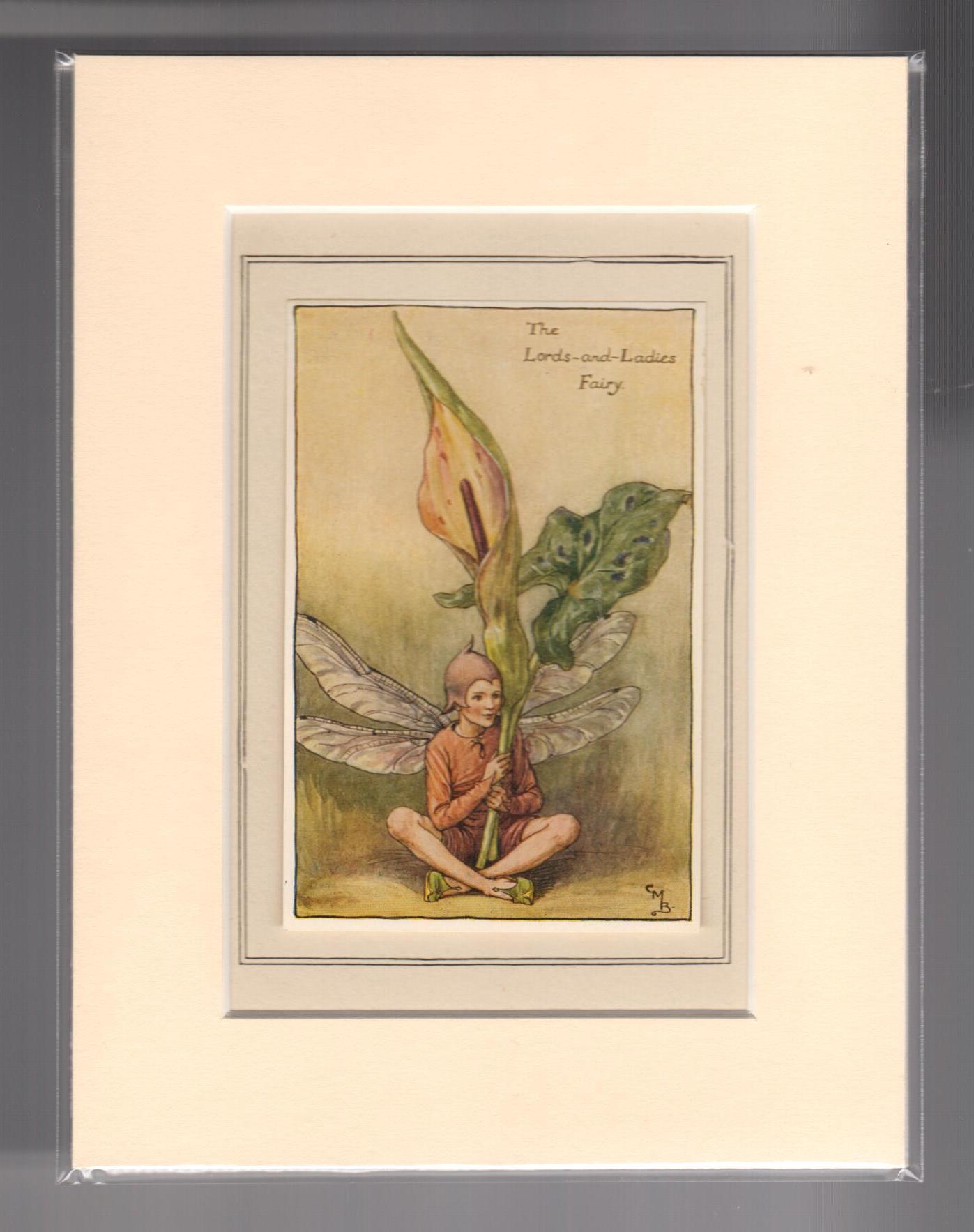 The Lords-and-Ladies Fairy (Mounted Print from Spring Songs with Music)