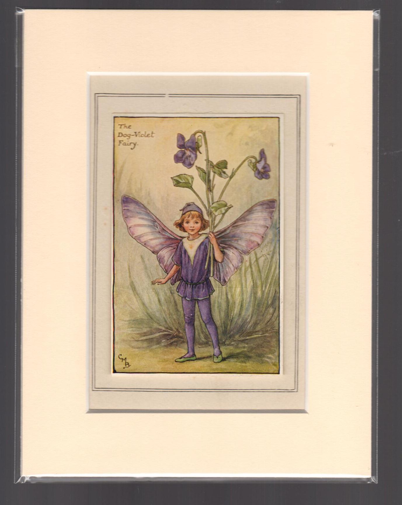 The Dog-Violet Fairy (Mounted Print from Spring Songs with Music)