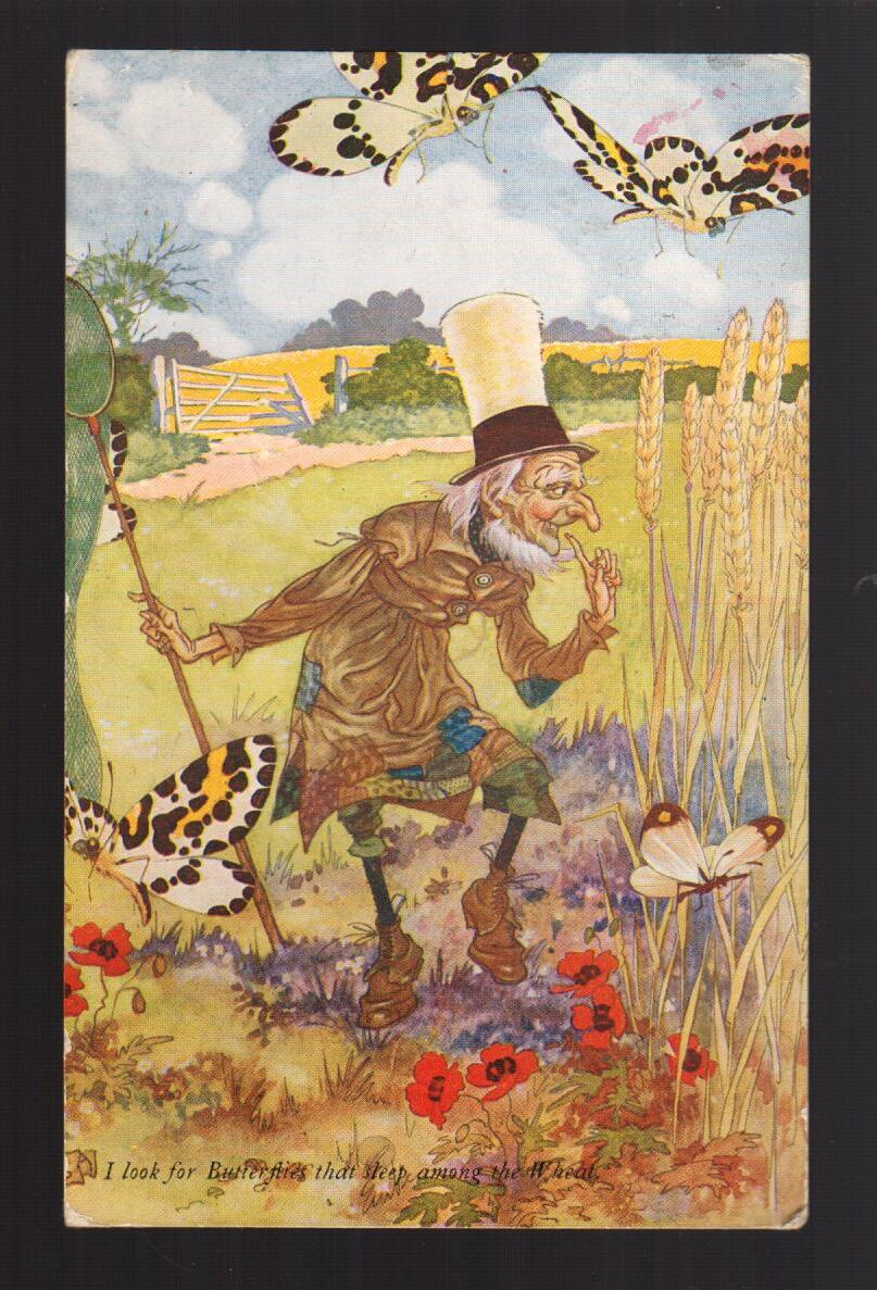 I Look for Butterflies Postcard