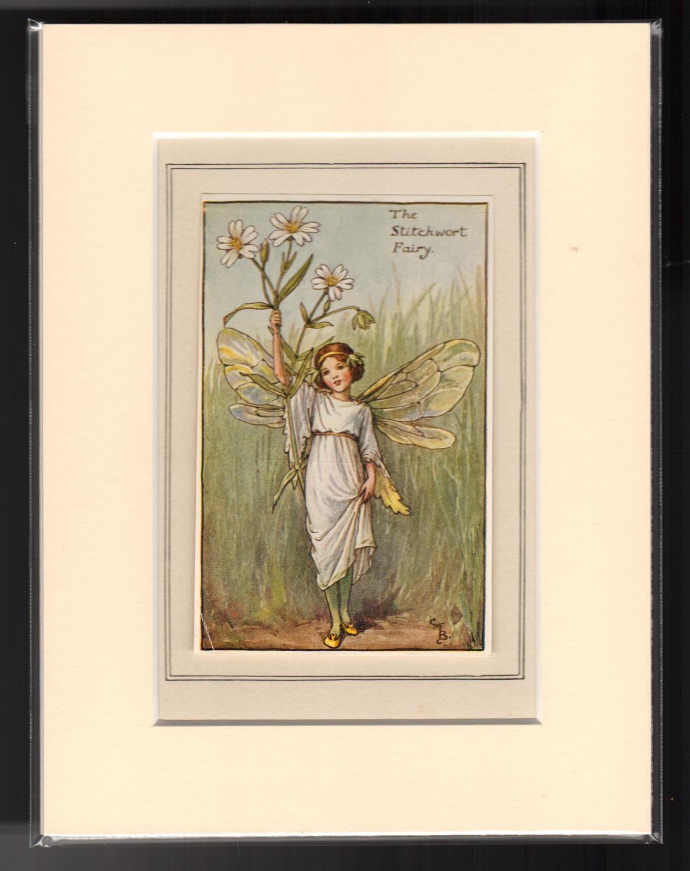 The Stitchwort Fairy (Mounted Print from Spring Songs with Music)