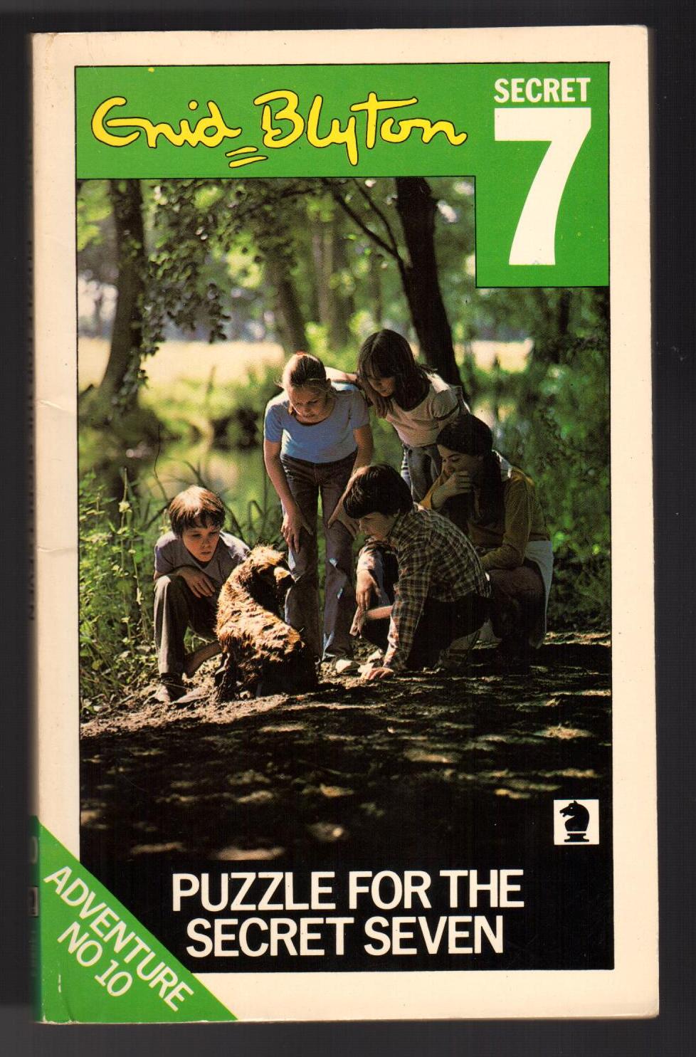 Puzzle for the Secret Seven