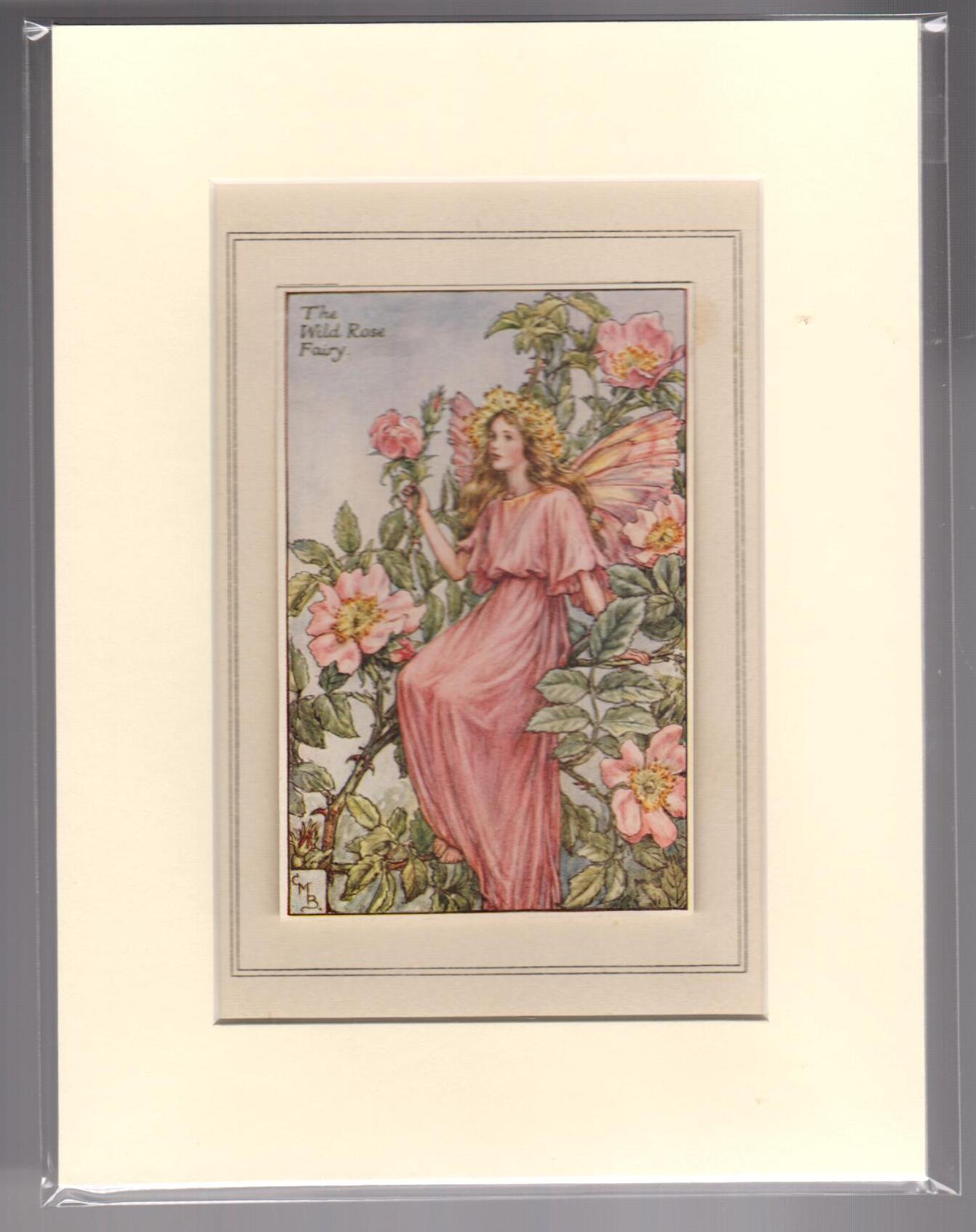 The Wild Rose Fairy (Mounted Print from Summer Songs with Music)