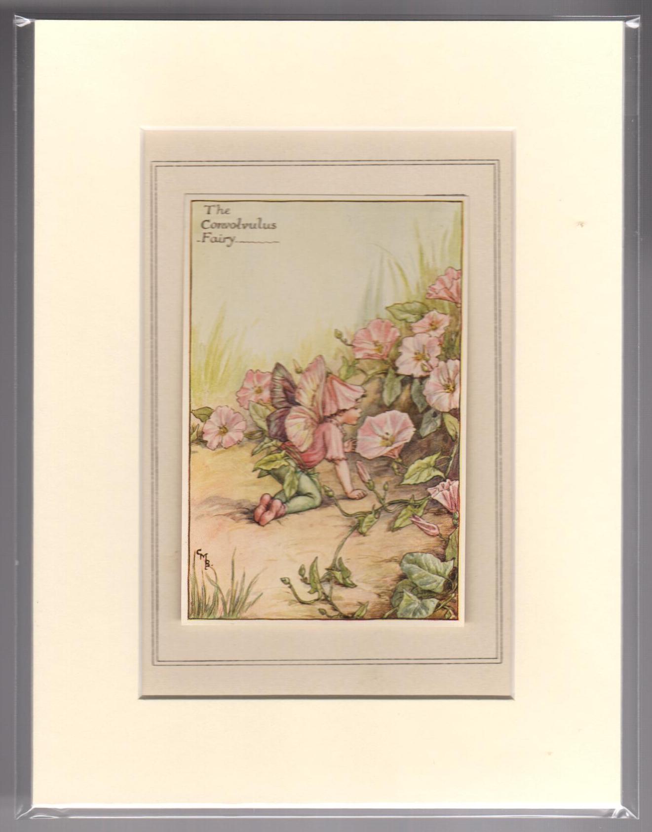 The Convolvulus Fairy (Mounted Print from Summer Songs with Music)