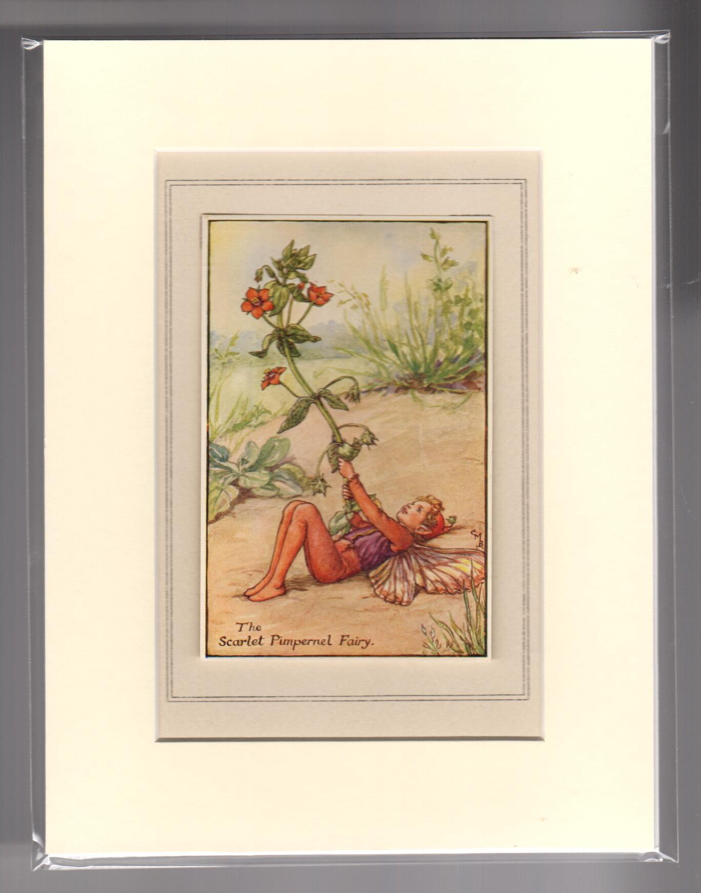 The Scarlet Pimpernel Fairy (Mounted Print from Summer Songs with Music)